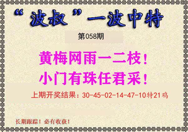波叔中特 第58期