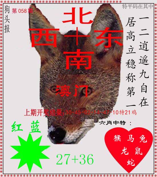 狗头报 第58期