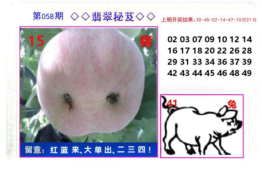 翡翠秘芨 第58期
