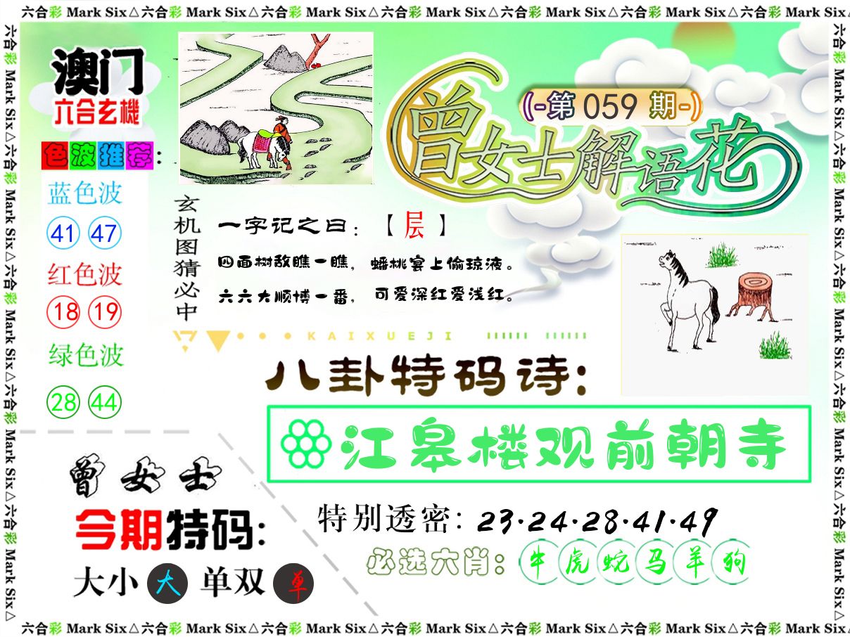 曾女士解语花 第59期