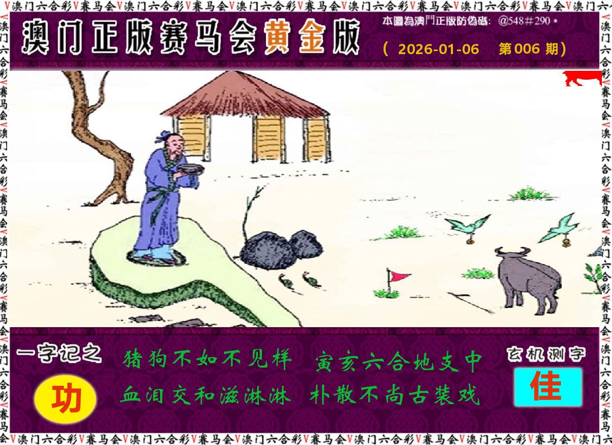 赛马会黄金版 第6期