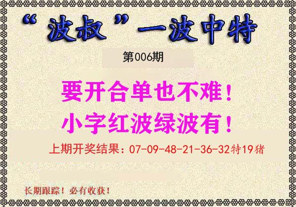 波叔中特 第6期