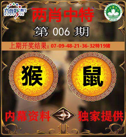 两肖中特 第6期