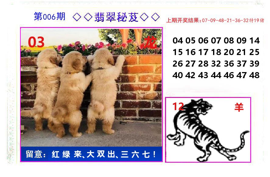 翡翠秘芨 第6期
