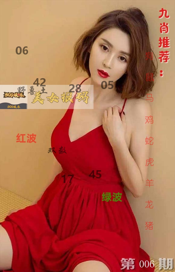 美女报码 第6期
