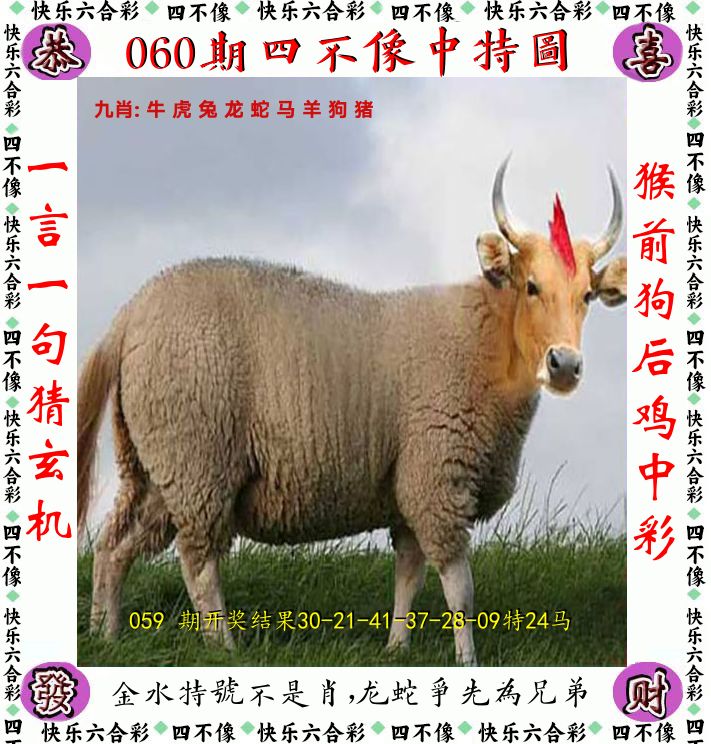 四不像 第60期