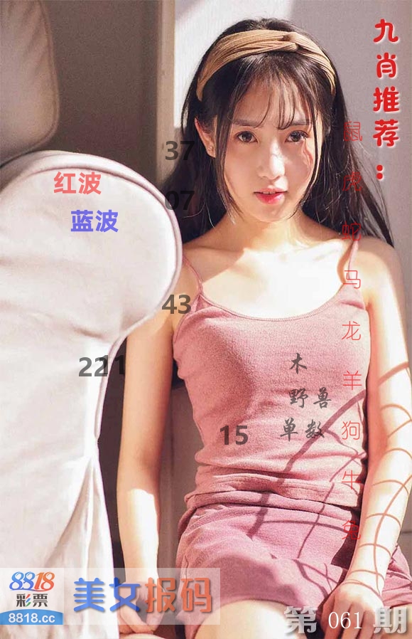 美女报码 第61期