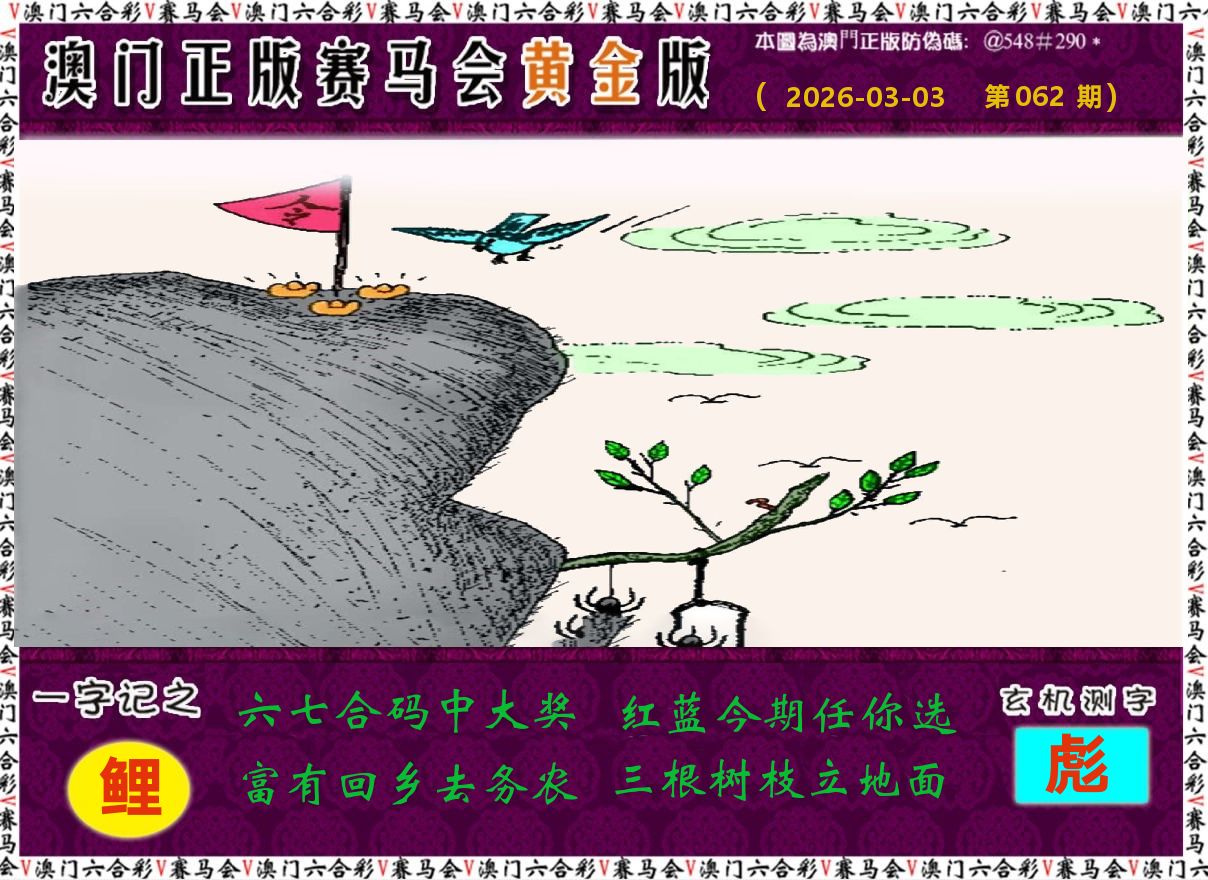 赛马会黄金版 第62期
