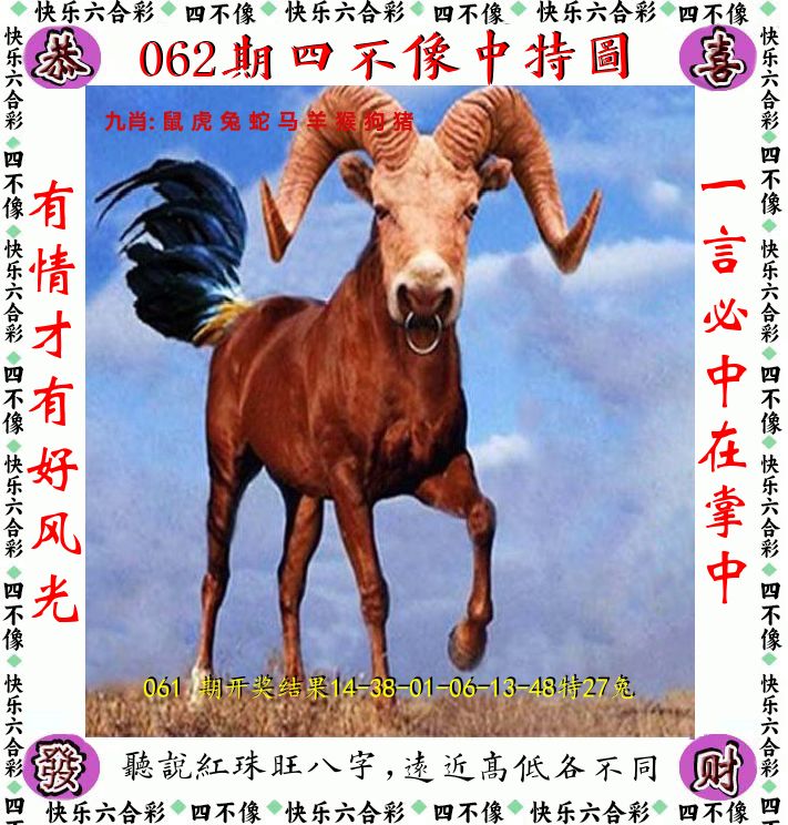 四不像 第62期