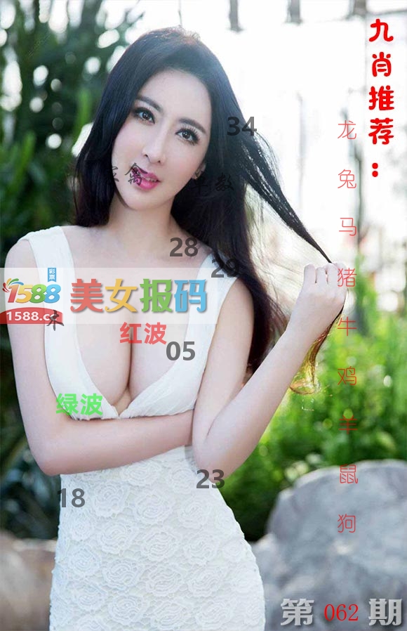 美女报码 第62期