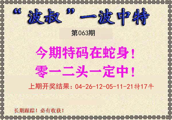 波叔中特 第63期