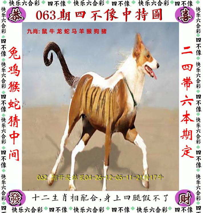 四不像 第63期