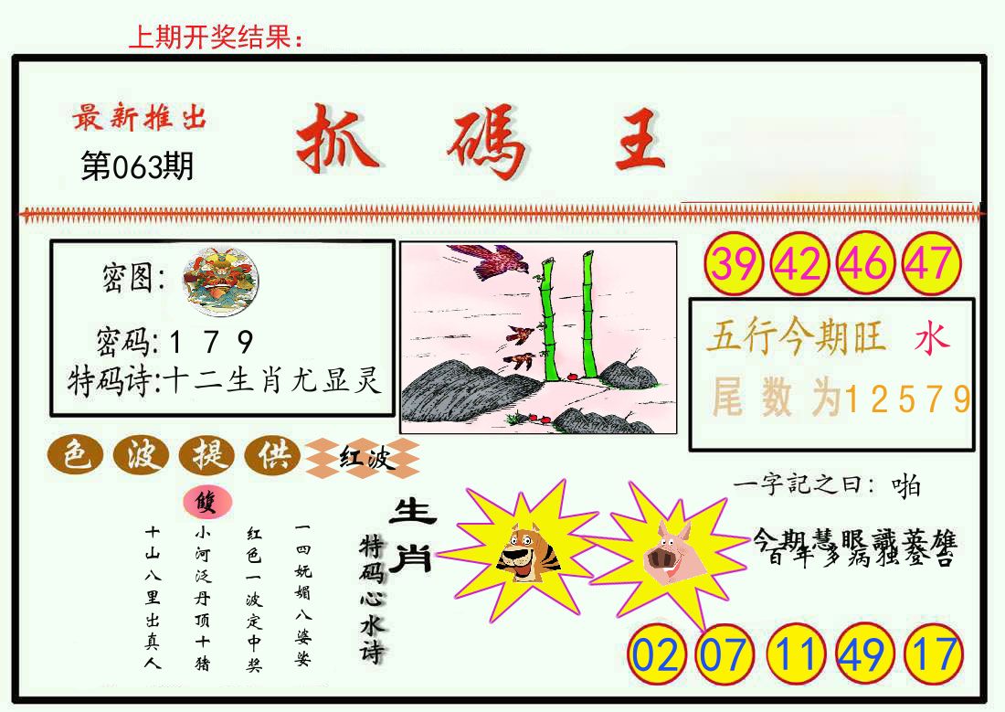 最新抓码王 第63期