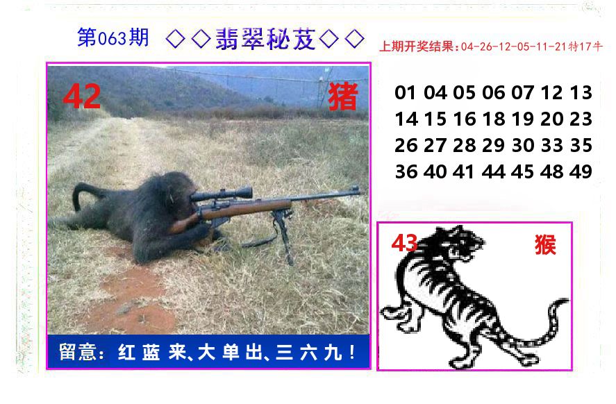 翡翠秘芨 第63期