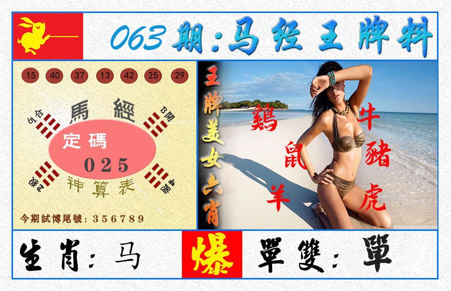 澳门王牌料 第63期