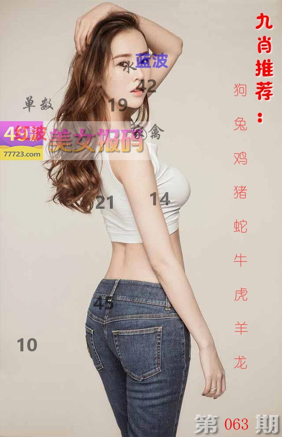 美女报码 第63期