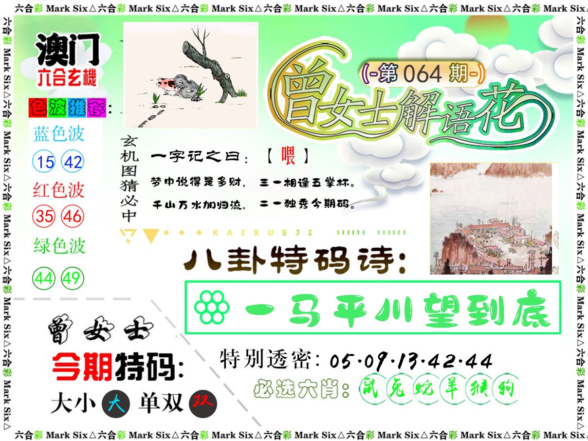 曾女士解语花 第64期