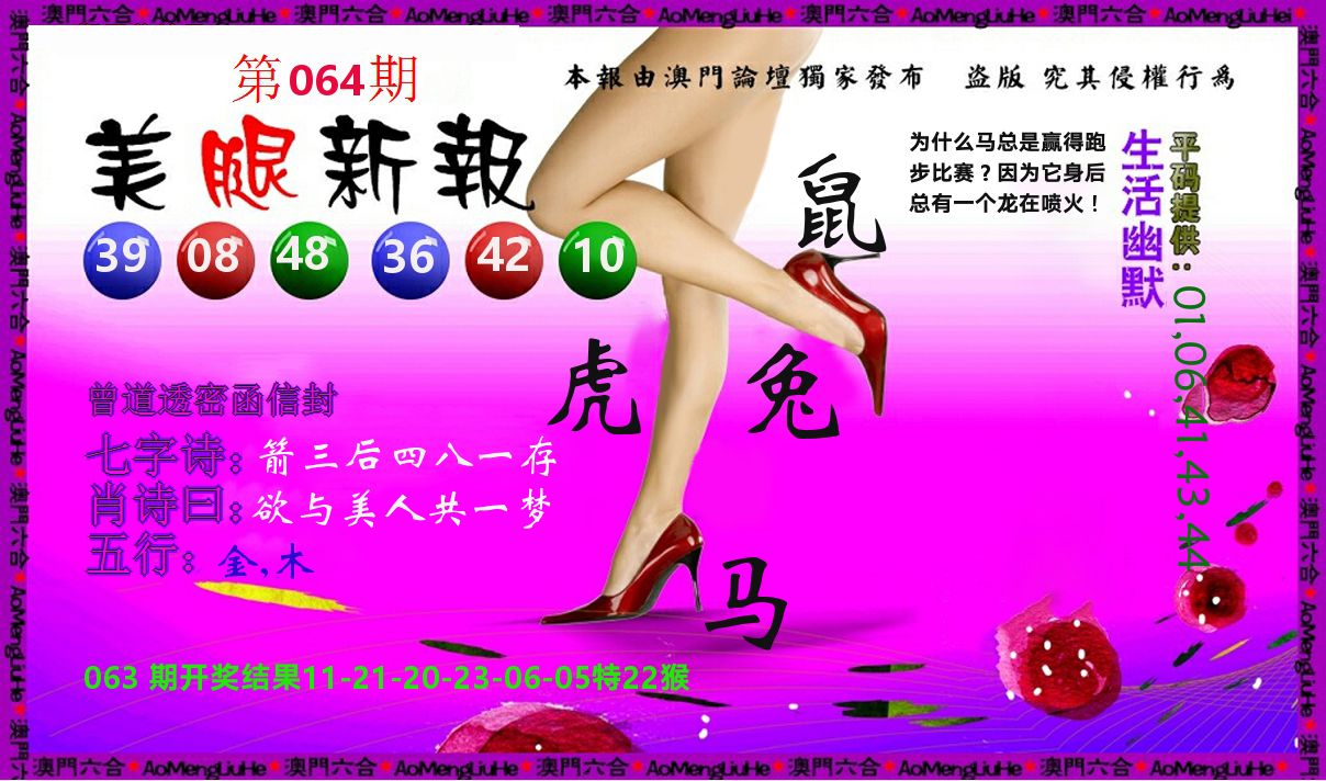 美腿新报 第64期