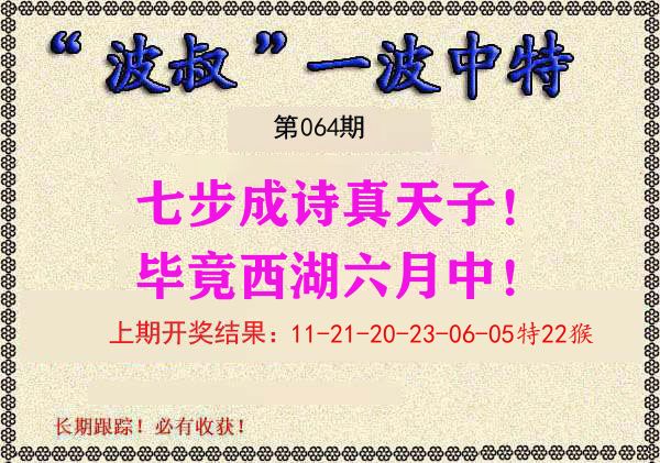 波叔中特 第64期