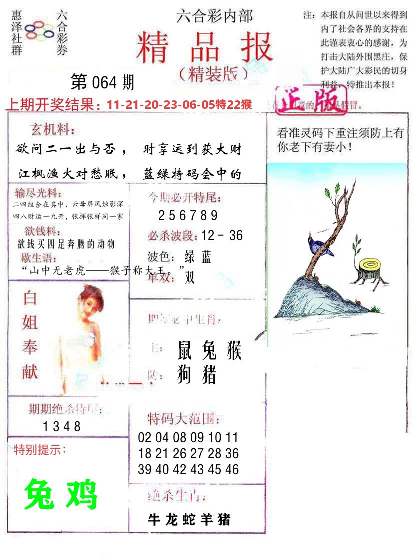 精品报 第64期