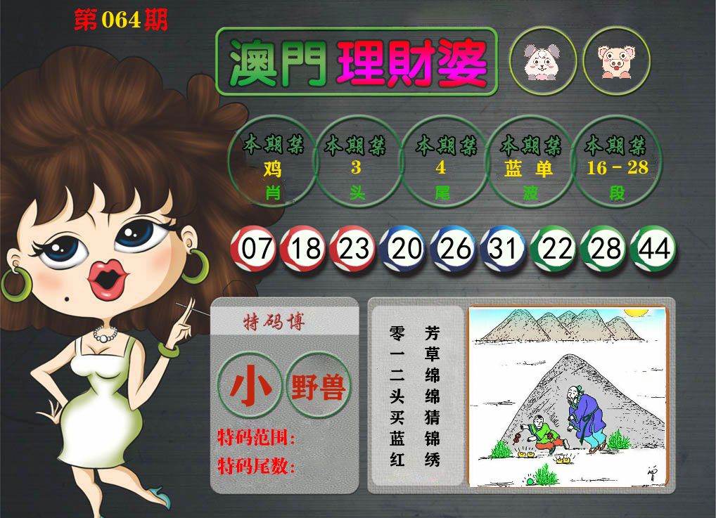 理财婆 第64期