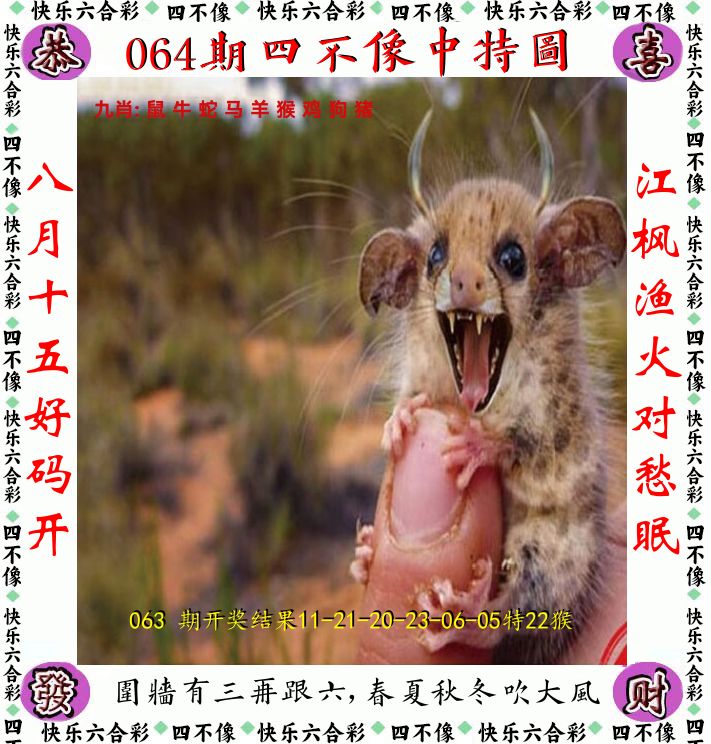 四不像 第64期