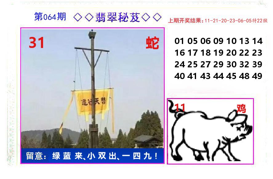翡翠秘芨 第64期