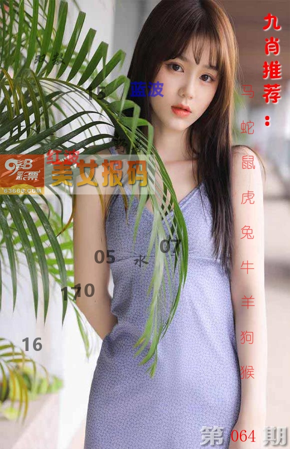 美女报码 第64期
