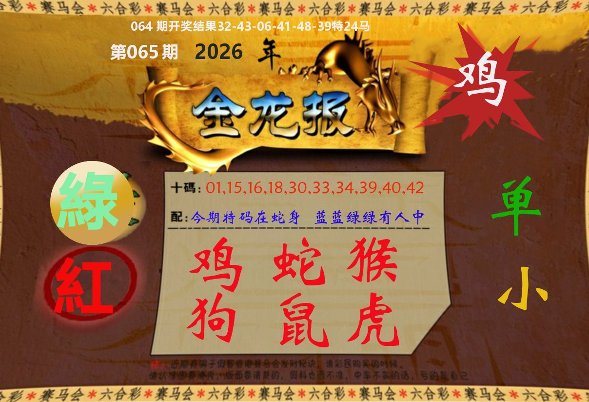 金龙报 第65期