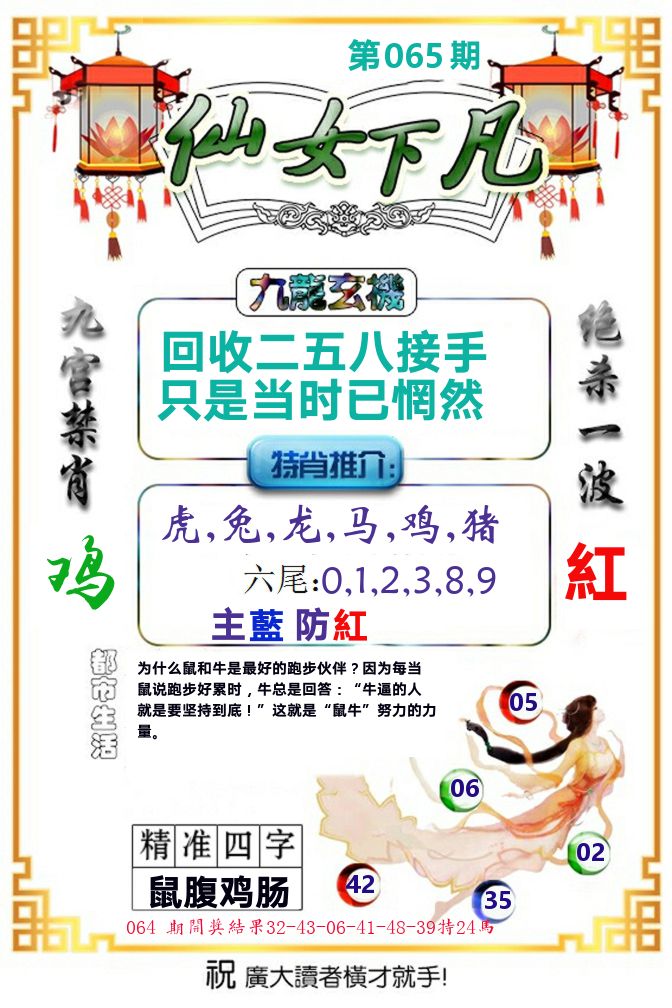 仙女下凡 第65期