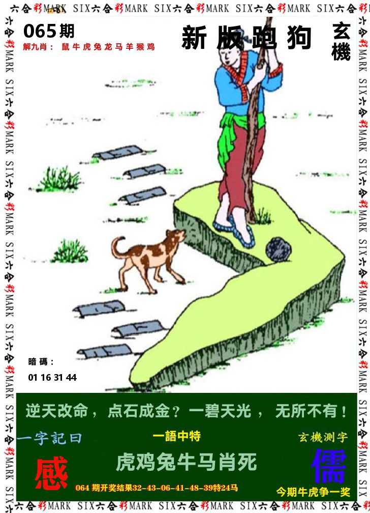 悟入其图 第65期