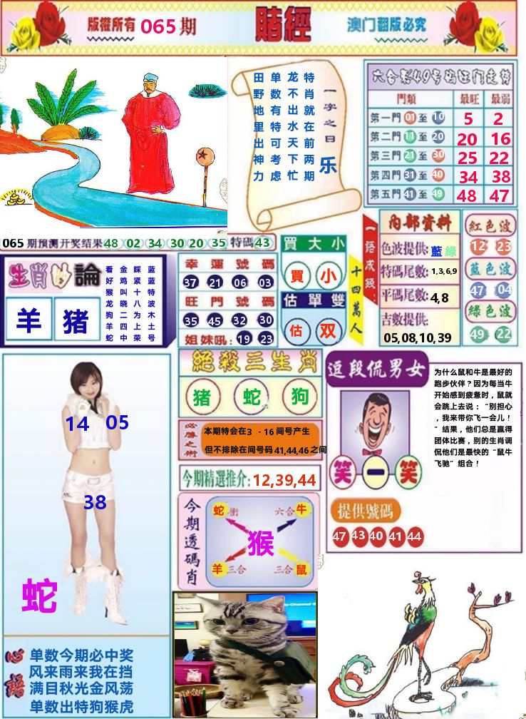 澳门赌经 第65期