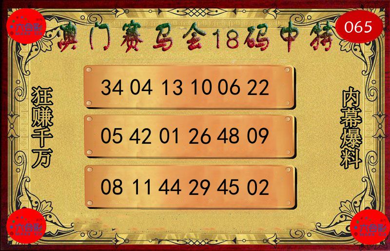 赛马会18码 第65期
