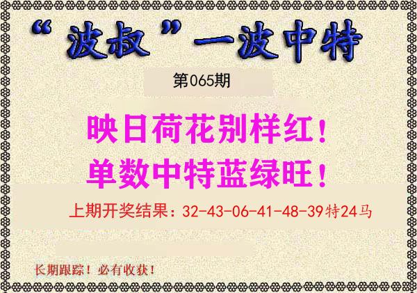 波叔中特 第65期