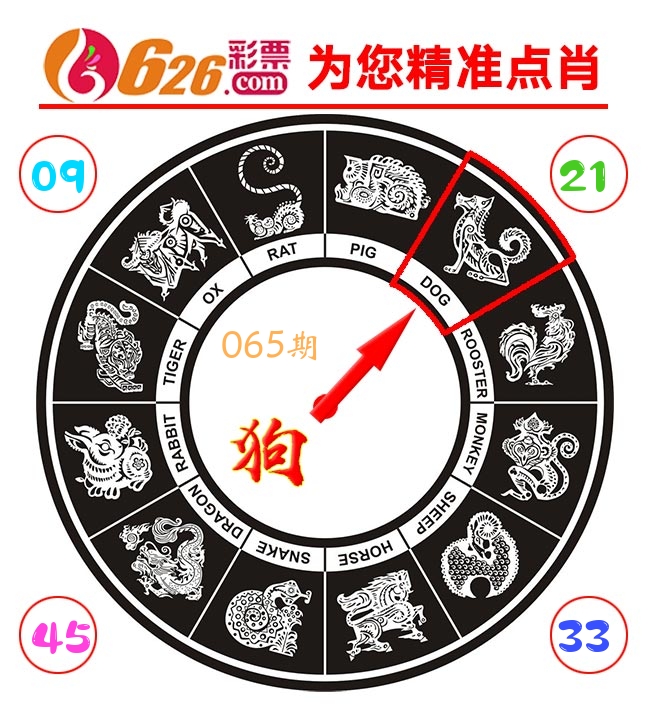 精准点肖 第65期