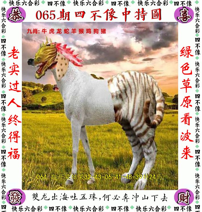 四不像 第65期