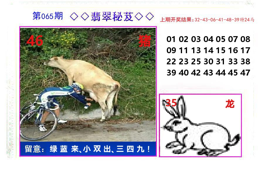 翡翠秘芨 第65期