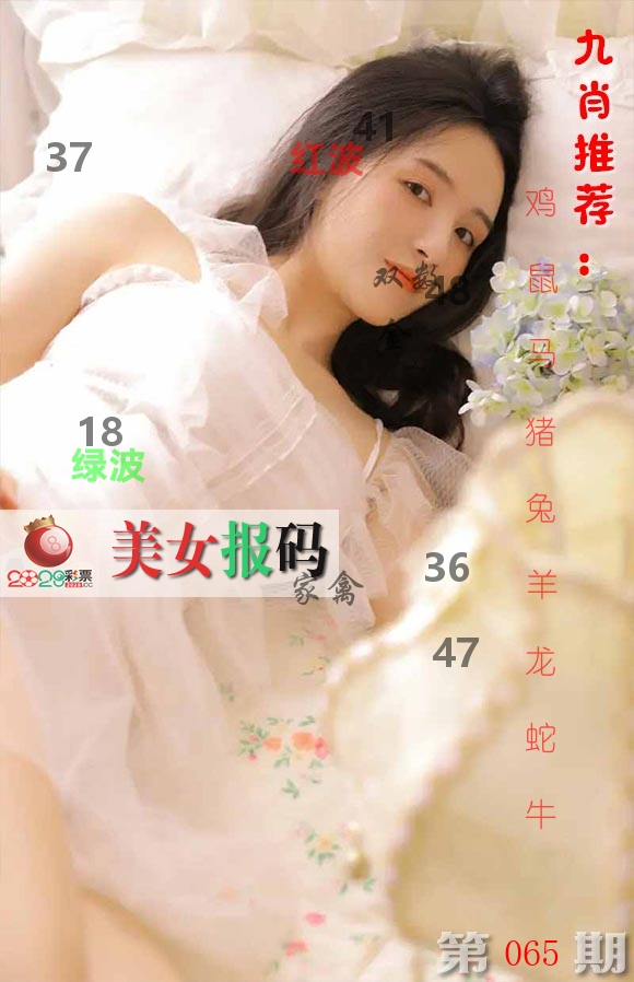 美女报码 第65期