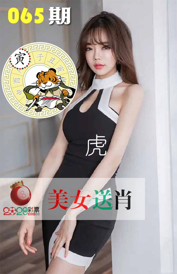 美女送肖 第65期