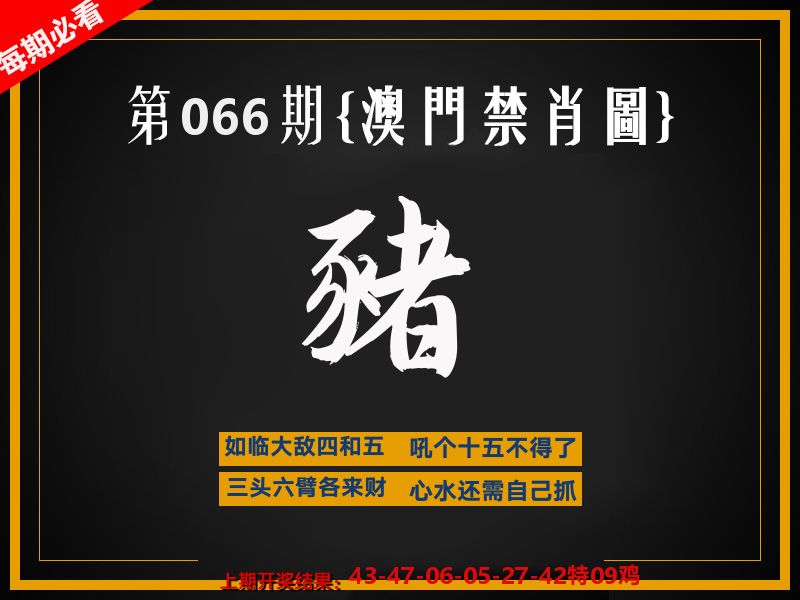 茶湾港料《彩》 第66期