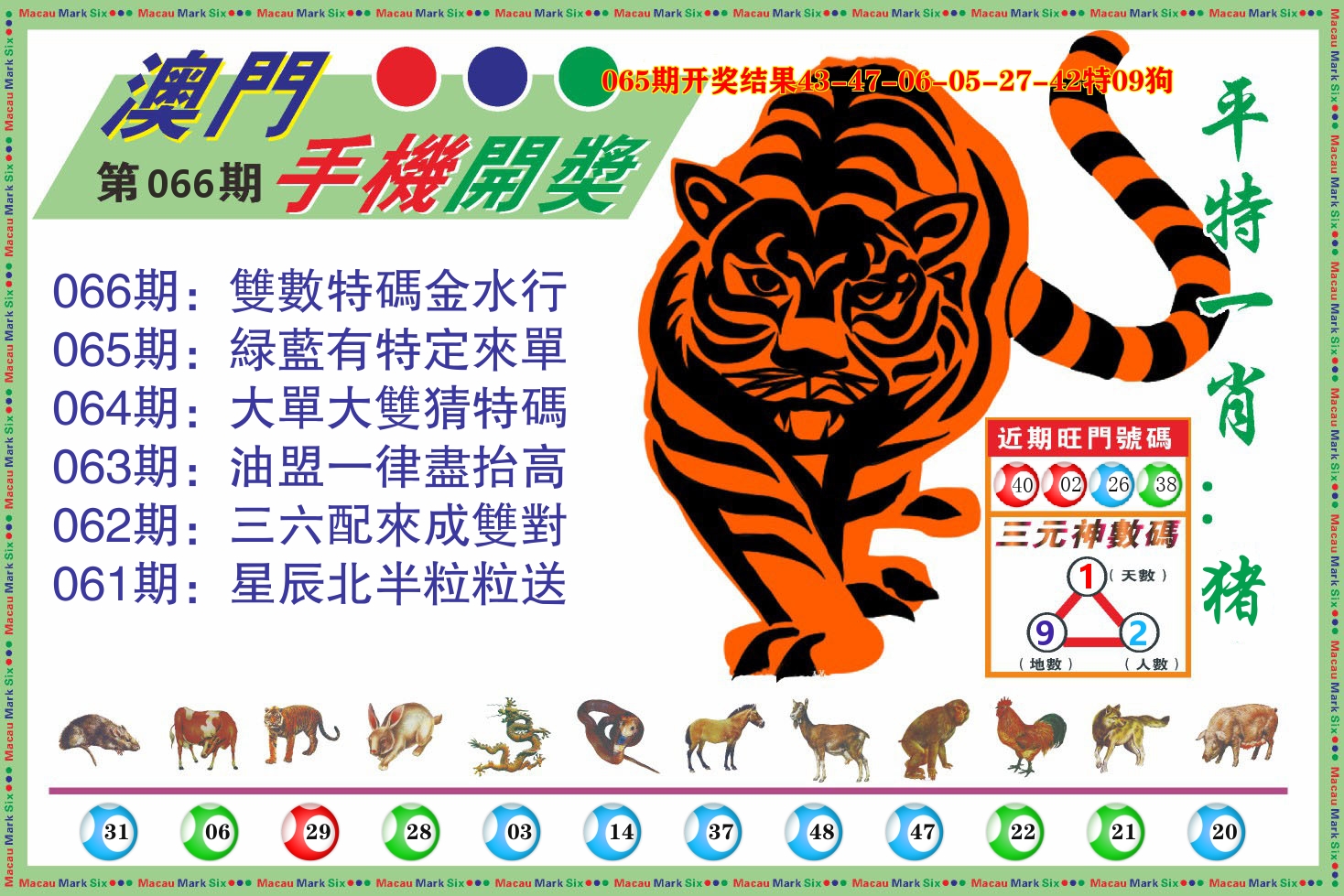 澳门开奖报 第66期