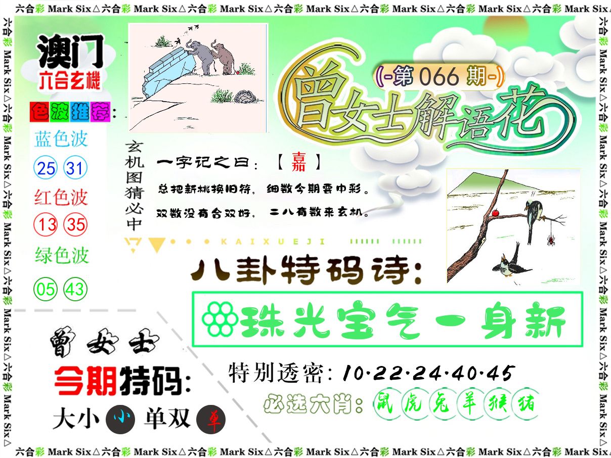 曾女士解语花 第66期