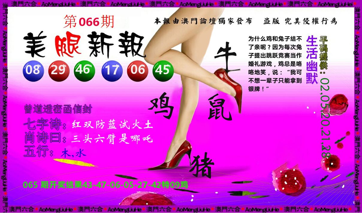 美腿新报 第66期