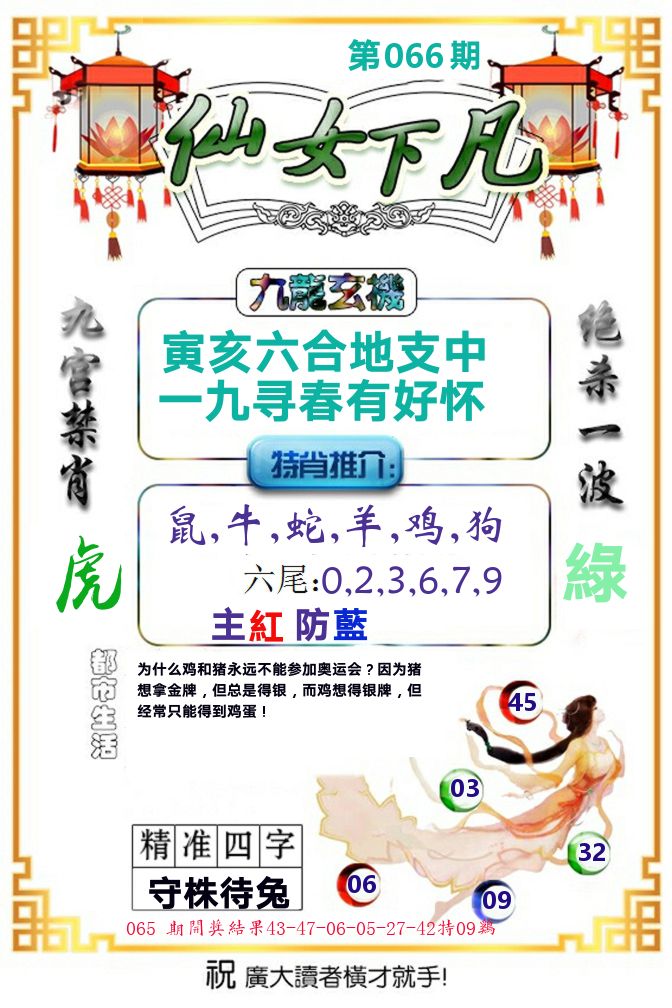 仙女下凡 第66期