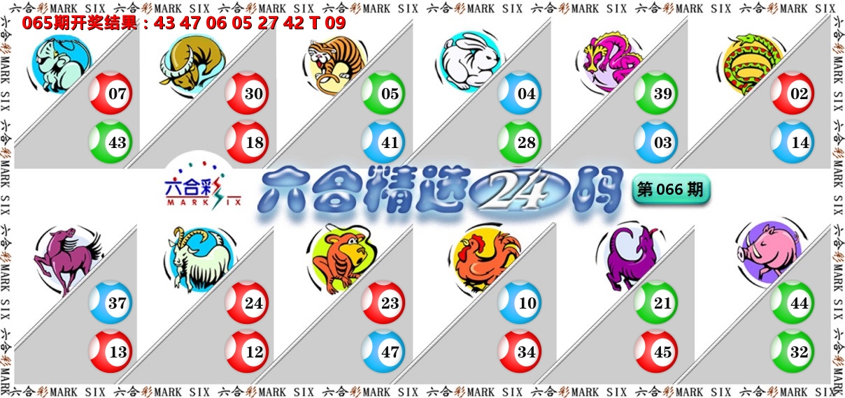 六合精选24码 第66期