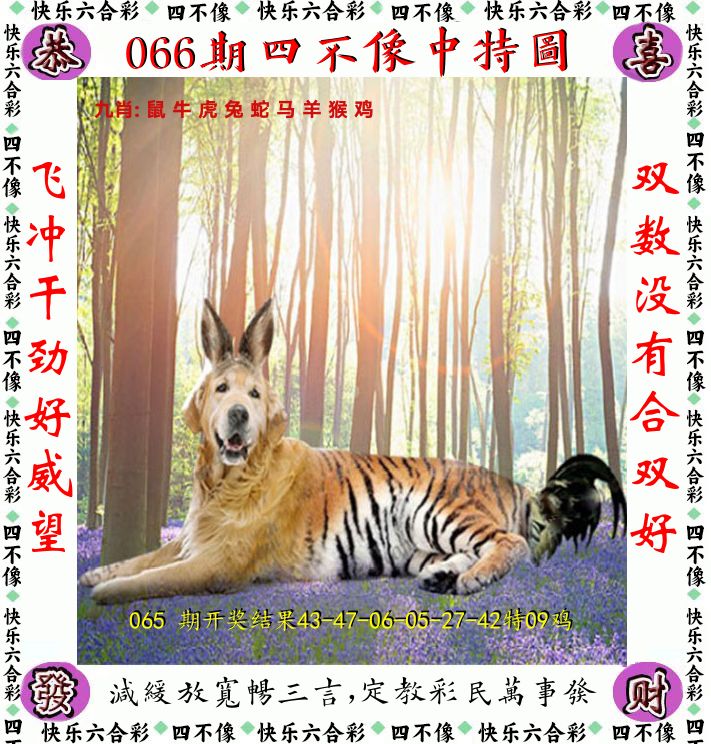 四不像 第66期