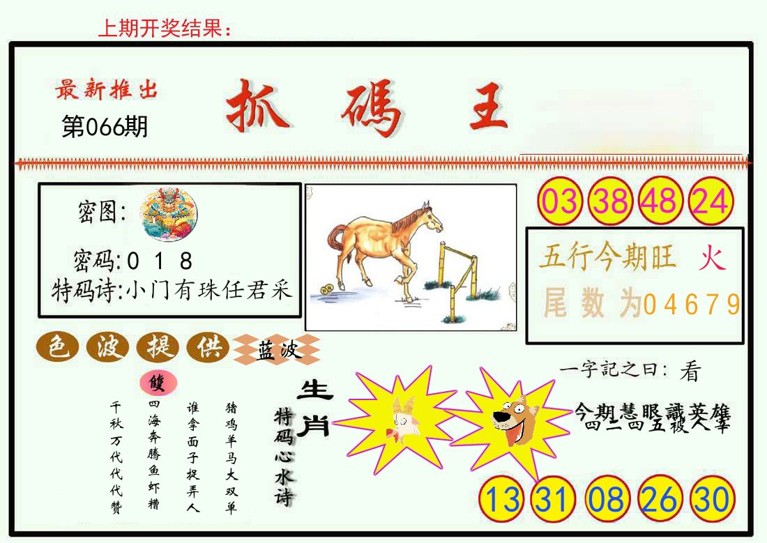 最新抓码王 第66期