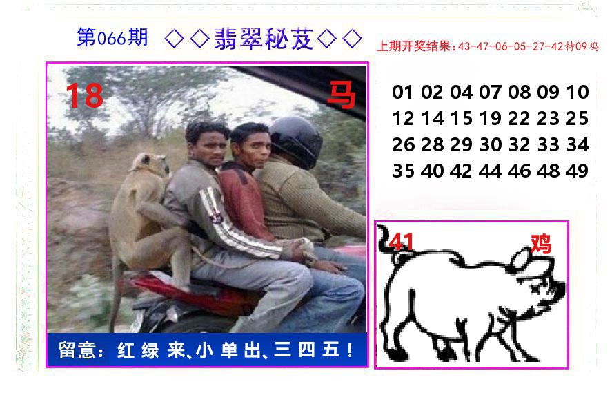 翡翠秘芨 第66期