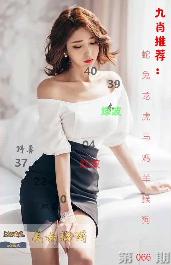 美女报码 第66期