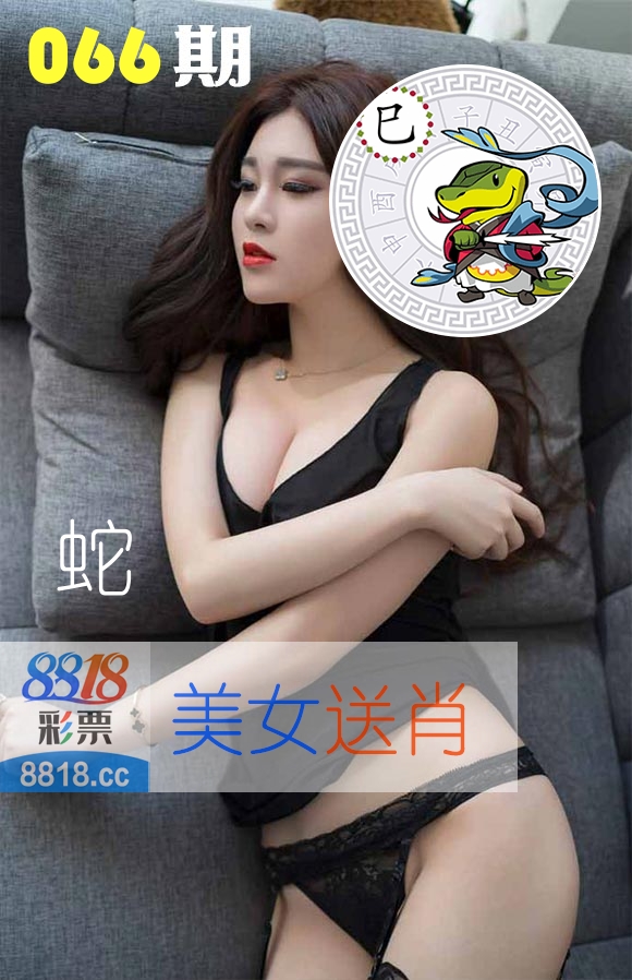 美女送肖 第66期